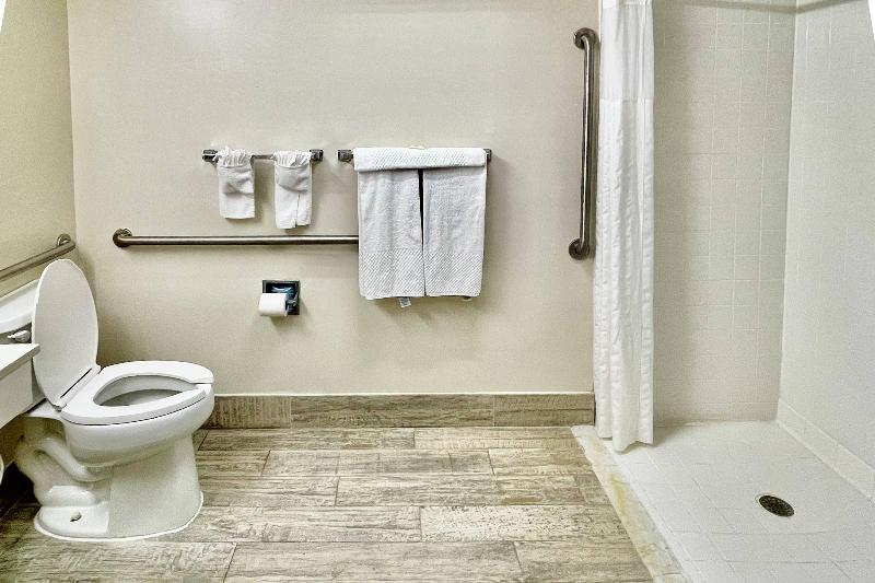 Quality Inn & Suites Clemmons I-40 image