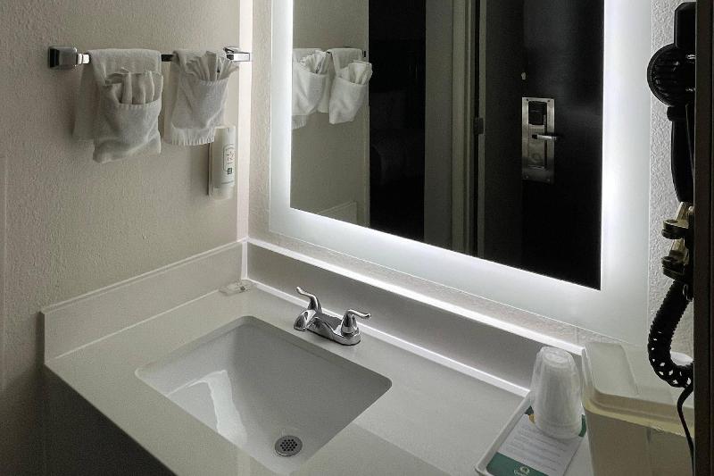 Quality Inn & Suites Clemmons I-40 image