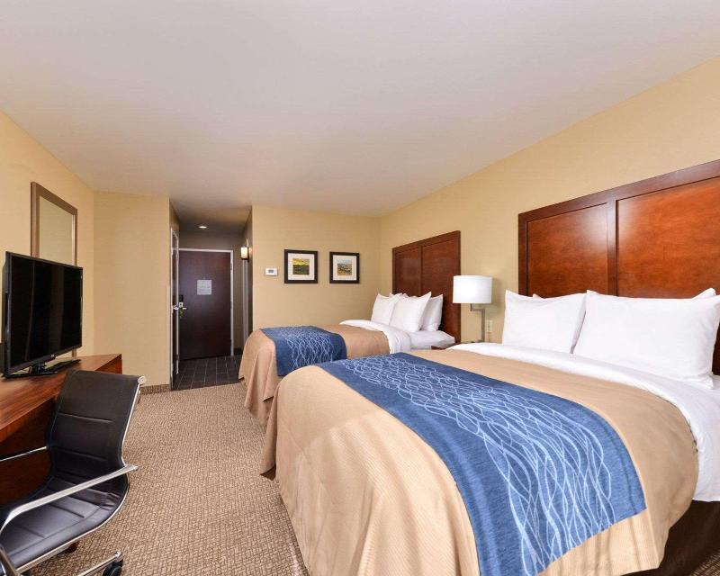Comfort Inn & Suites Mandan  Bismarck image