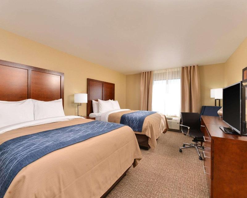 Comfort Inn & Suites Mandan  Bismarck image