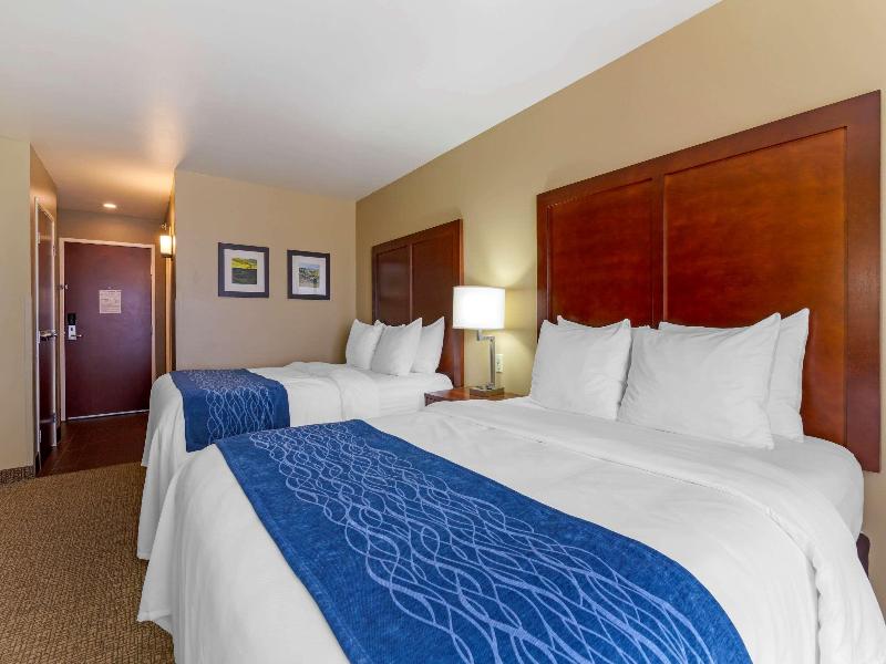 Comfort Inn & Suites Mandan  Bismarck image