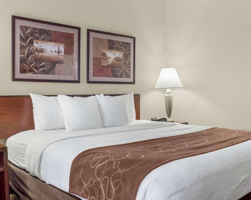 Comfort Inn Bismarck image