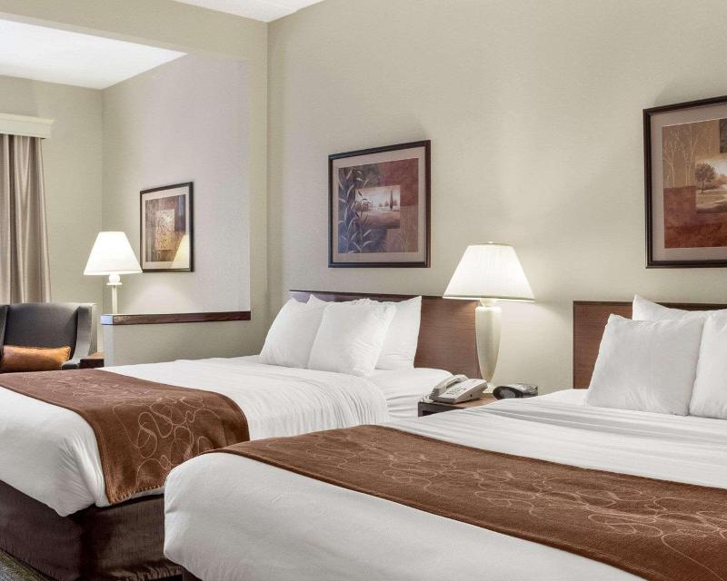 Comfort Inn Bismarck image