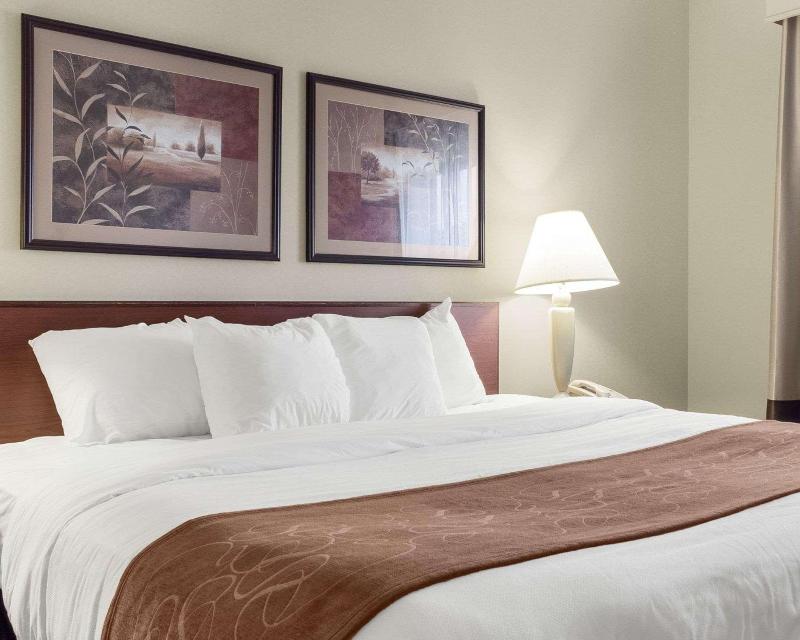 Comfort Inn Bismarck image