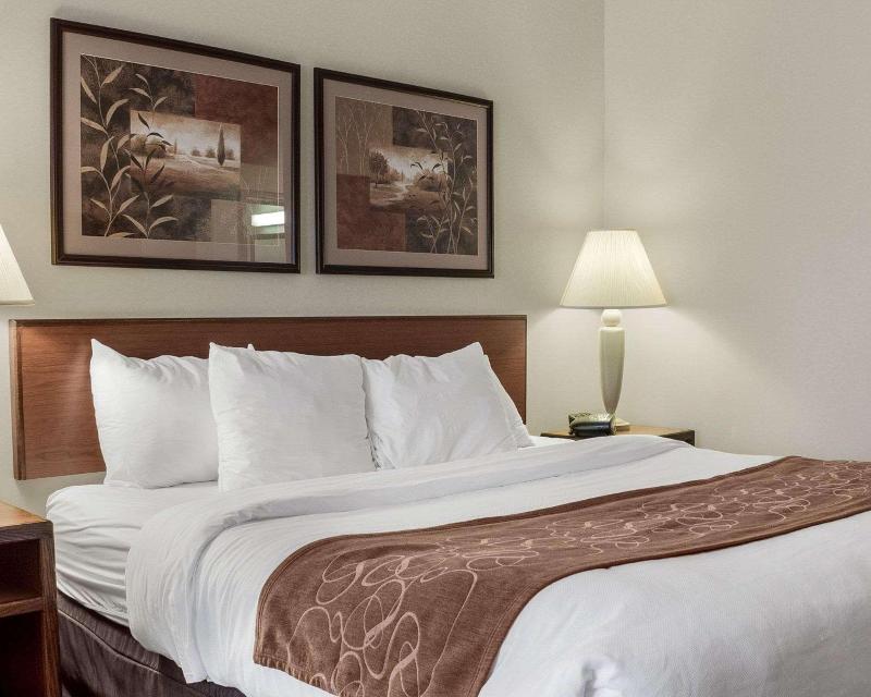 Comfort Inn Bismarck image