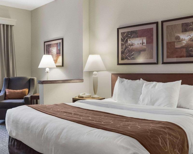Comfort Inn Bismarck image
