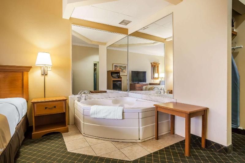 Rodeway Inn South image