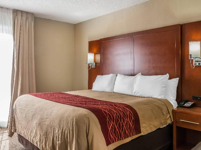Comfort Inn Savannah Midtown image