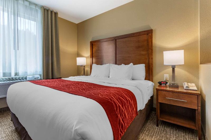 Comfort Inn & Suites Near Mt. Rushmore image