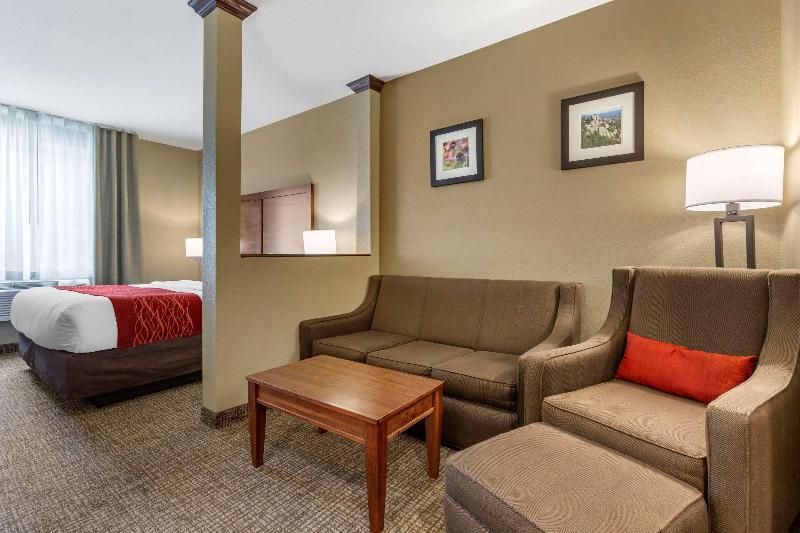 Comfort Inn & Suites Near Mt. Rushmore image