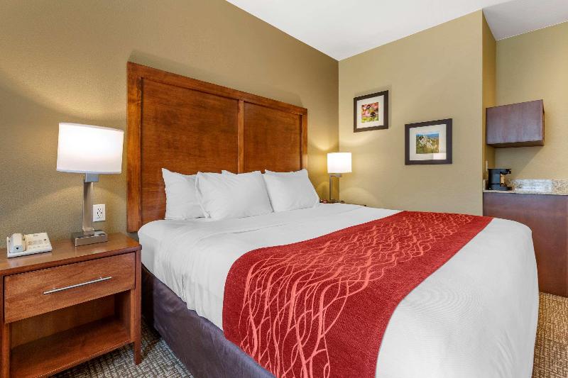 Comfort Inn & Suites Near Mt. Rushmore image