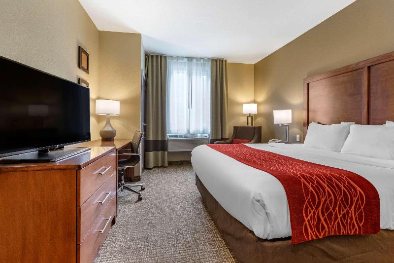 Comfort Inn & Suites Near Mt. Rushmore image