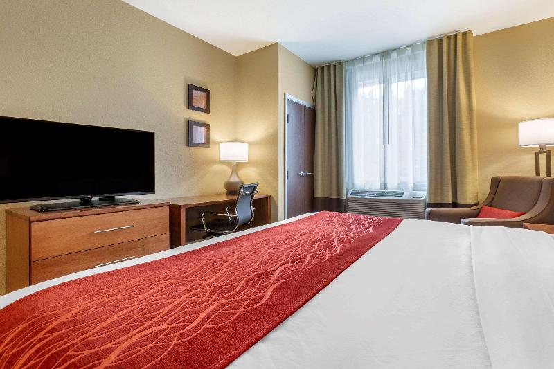 Comfort Inn & Suites Near Mt. Rushmore image