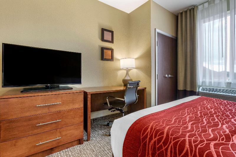 Comfort Inn & Suites Near Mt. Rushmore image