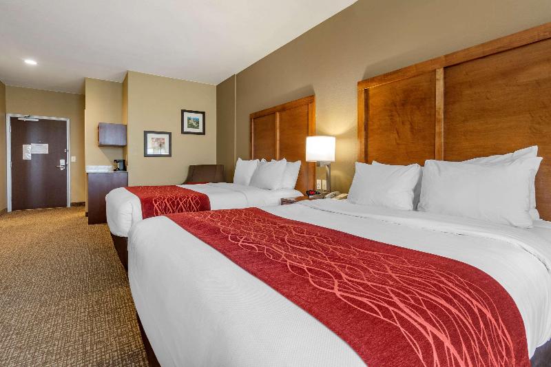 Comfort Inn & Suites Near Mt. Rushmore image