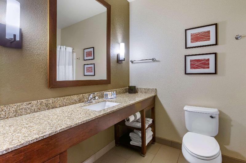 Comfort Inn & Suites Near Mt. Rushmore image