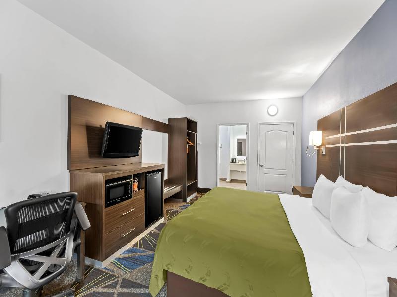 Quality Inn & Suites La Puerta image