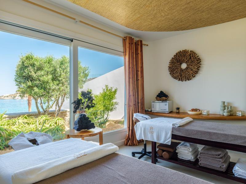 Anax Resort And Spa image