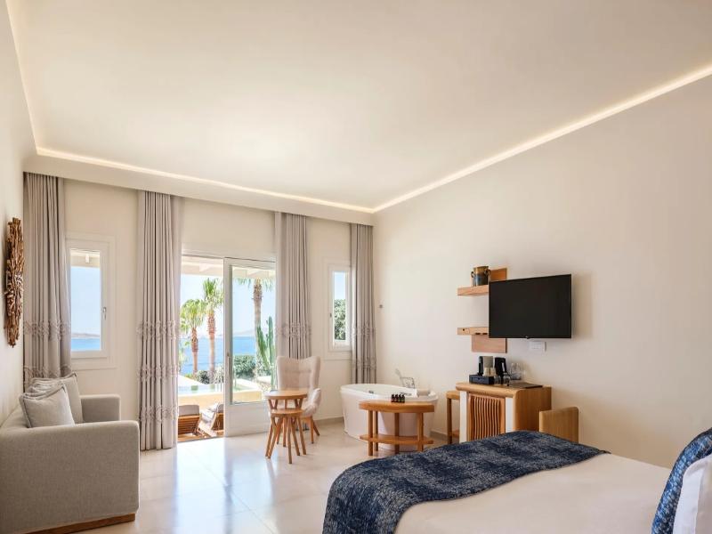 Anax Resort And Spa image