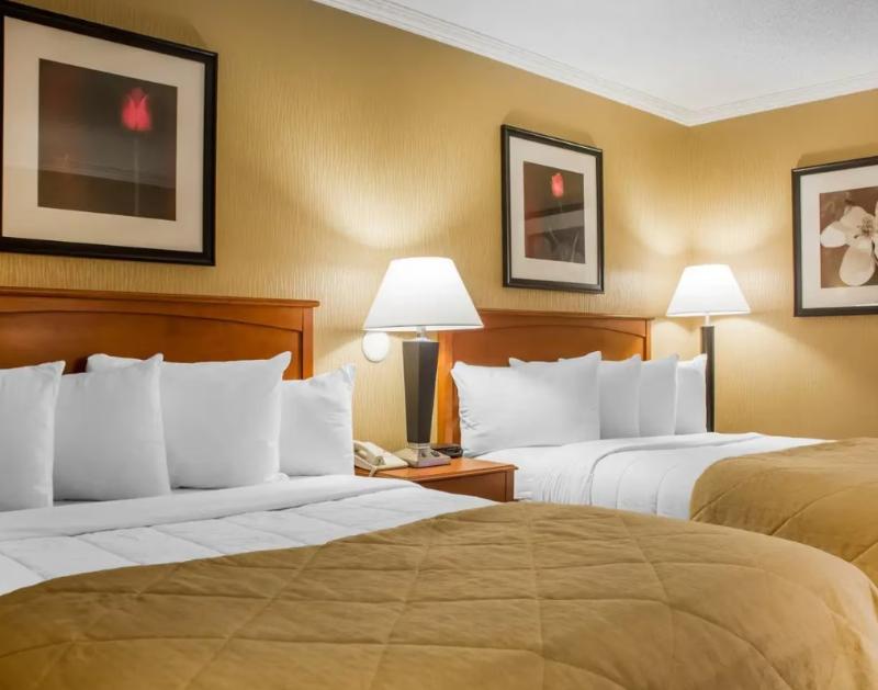Clarion Hotel & Suites Riverfront image