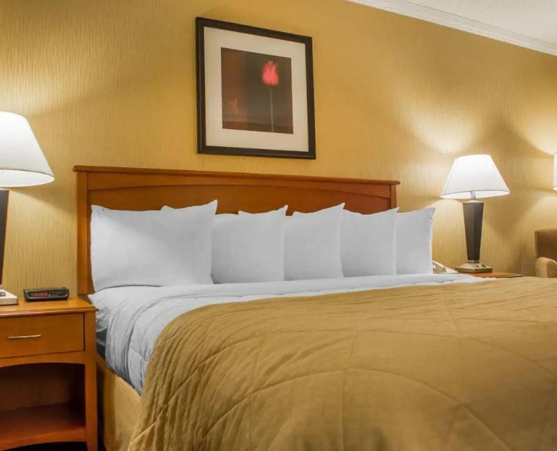 Clarion Hotel & Suites Riverfront image