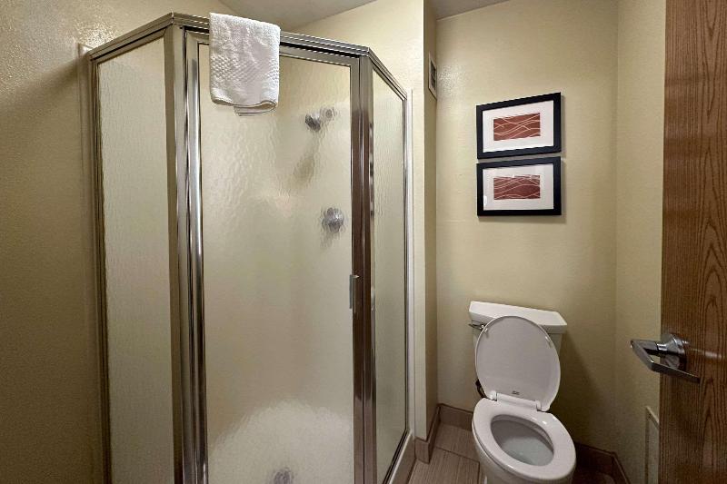 Quality Inn Perryville I-55 image