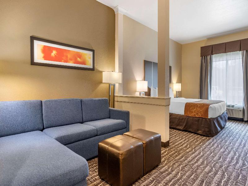Comfort Suites Near Sam Houston Race Park image