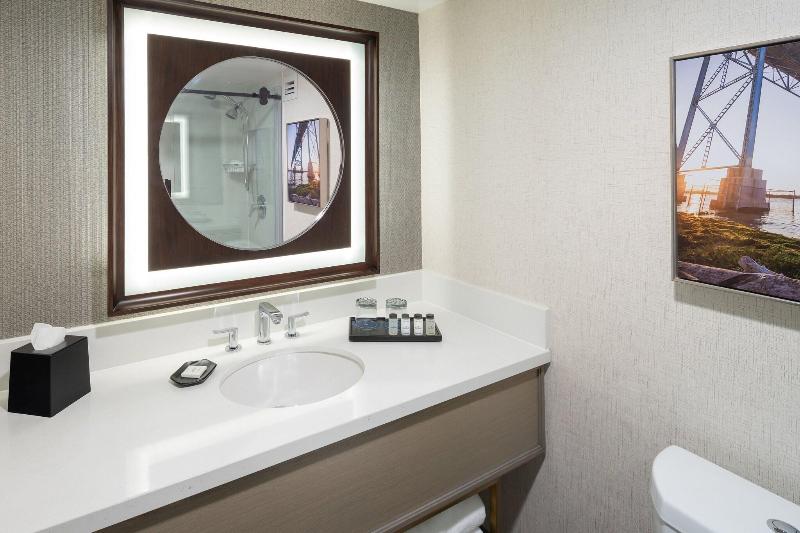 Sheraton Detroit Novi Hotel image