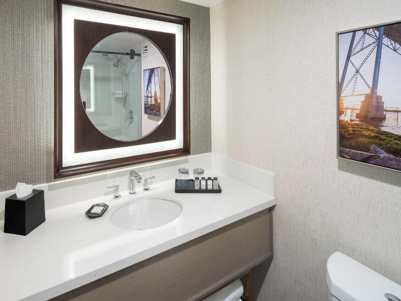 Sheraton Detroit Novi Hotel image