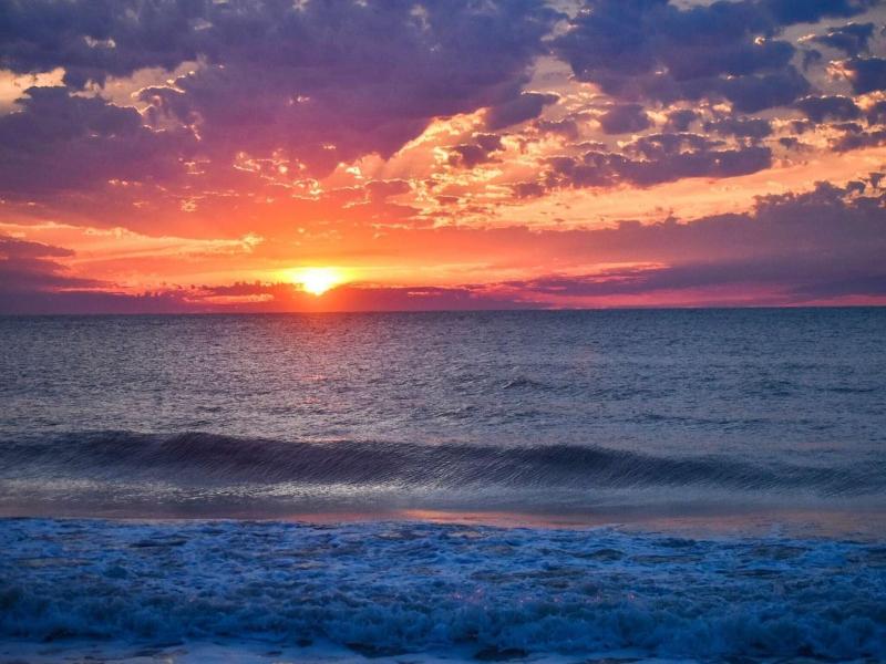 Lovers Key Resort 401 - Wkly image