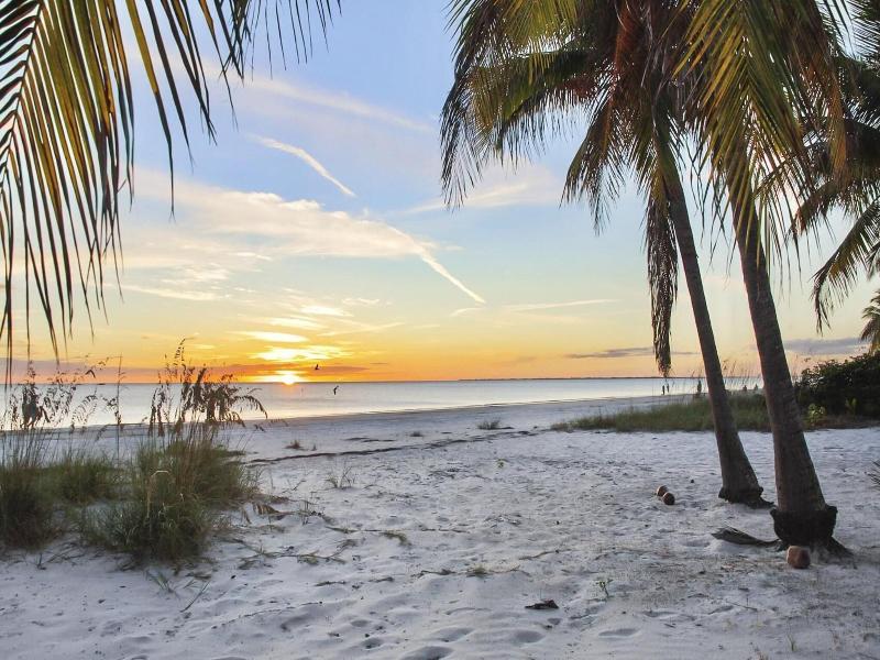 Estero Beach & Tennis C 707 - Wkly image