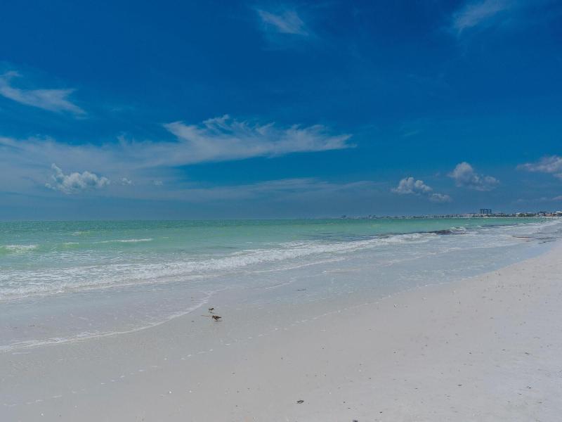 Estero Beach & Tennis C 707 - Wkly image