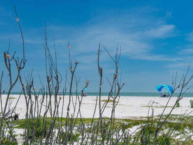 Estero Beach & Tennis C 707 - Wkly image