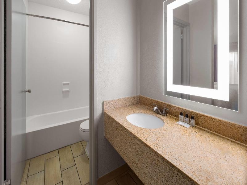 Wyndham Garden Romulus Detroit Metro Airport image