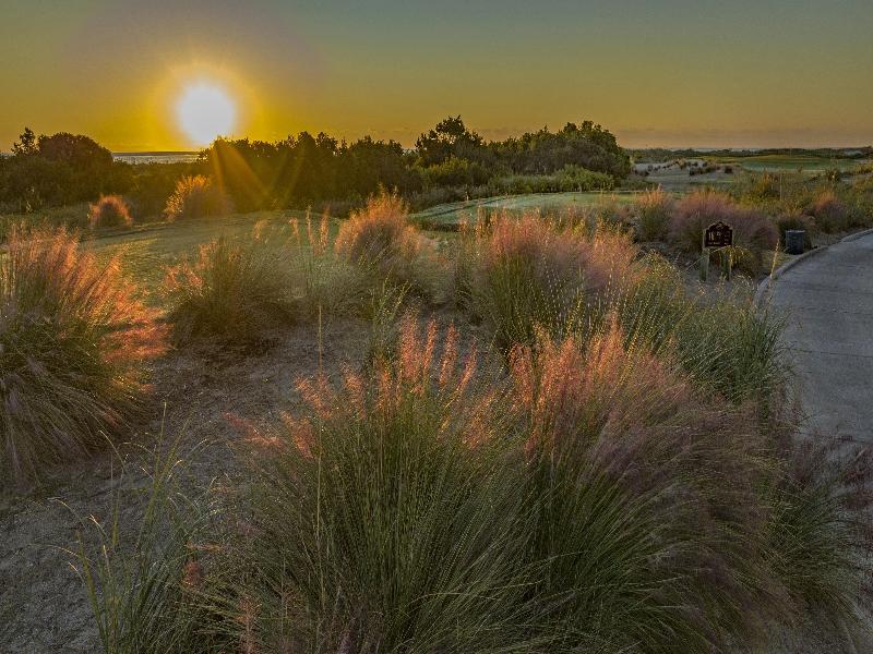 Wild Dunes Resort image