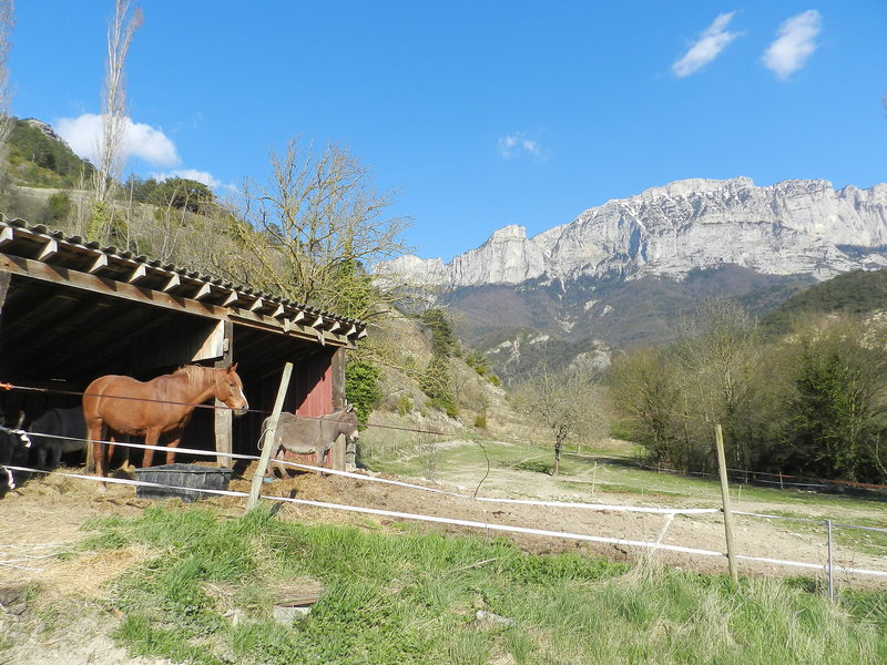 General view