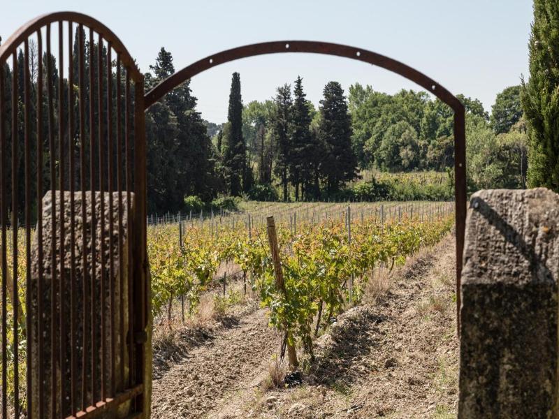 Le Château des Cinq Cantons image