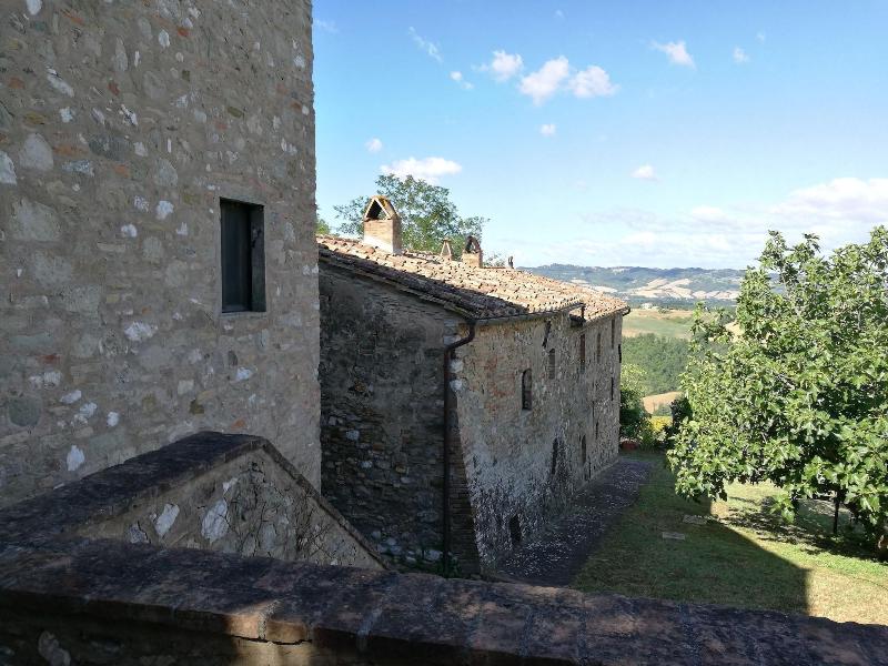 Casedigello image