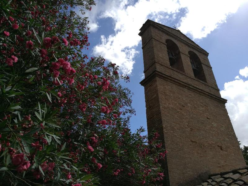 Casedigello image