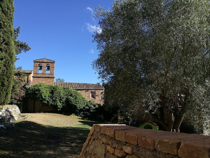 Casedigello image