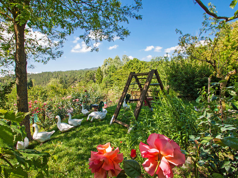 La Vecchia Fattoria