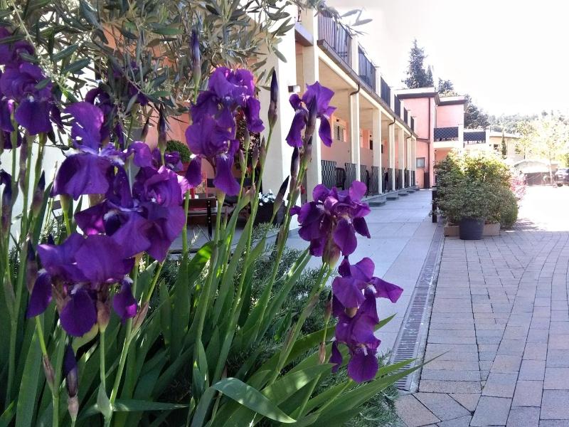 Residence Fiesole image