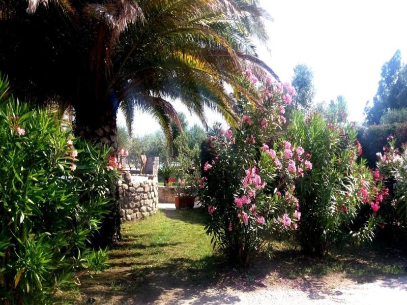 Residence Dolores image