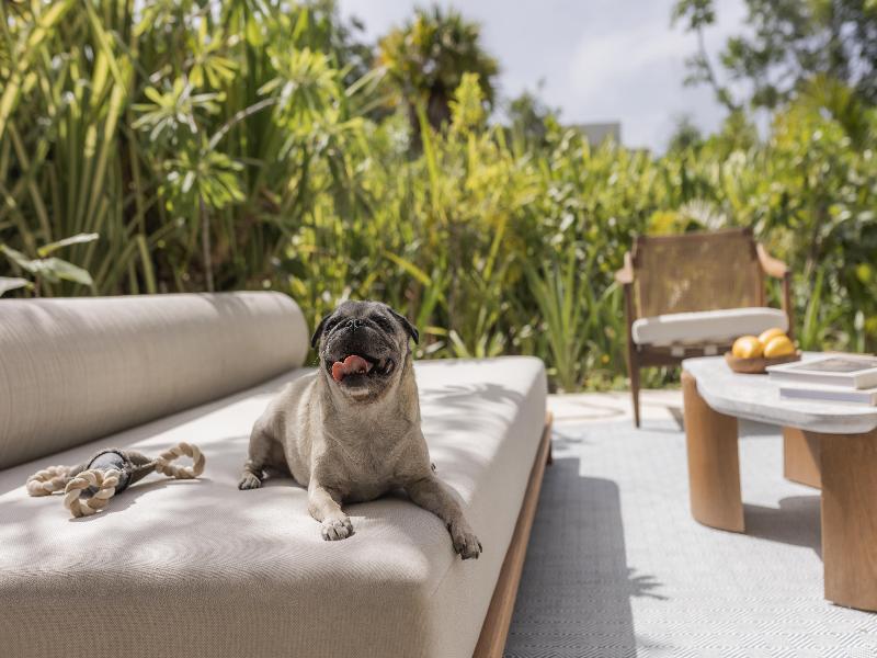 Andaz Mayakoba Resort Riviera Maya, By Hyatt image