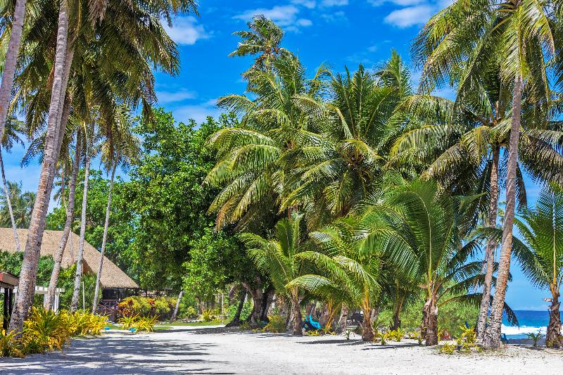 Return to Paradise Resort & Spa image