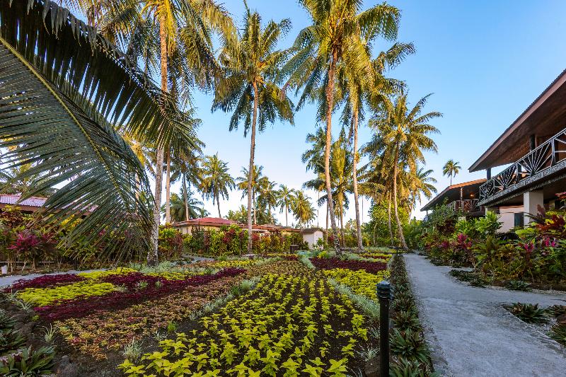 Return to Paradise Resort & Spa image