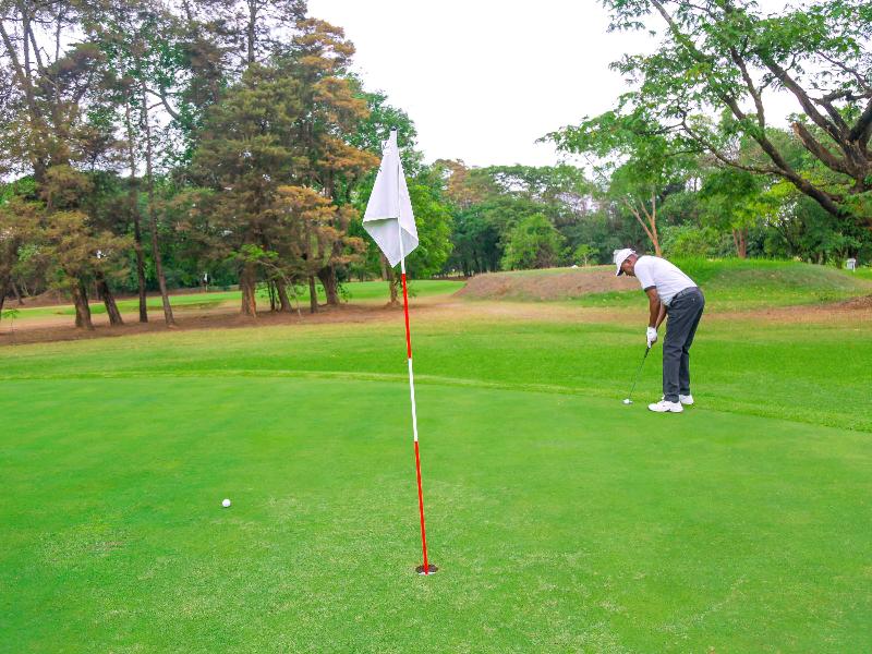 Pullman Lubumbashi image