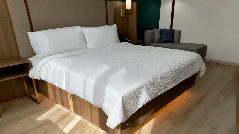 Holiday Inn Houston S - NRG Area - Med CTR image