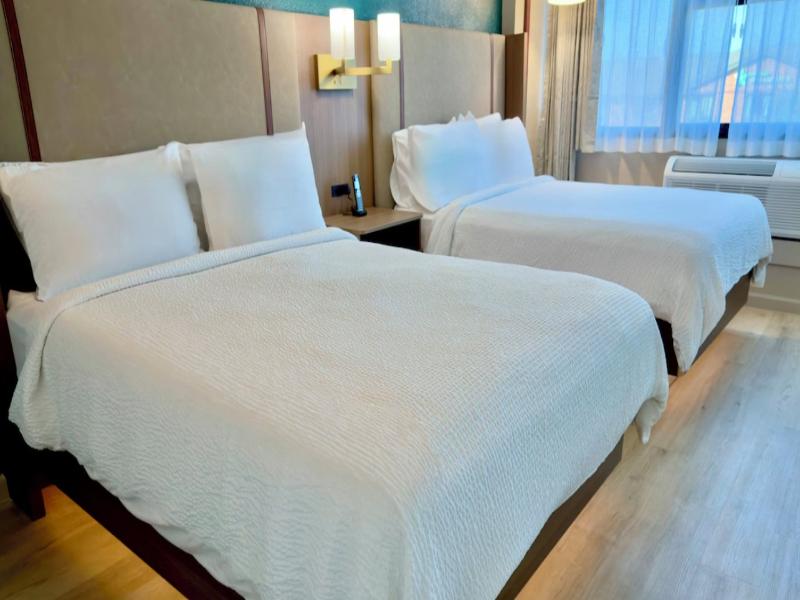 Holiday Inn Houston S - NRG Area - Med CTR image