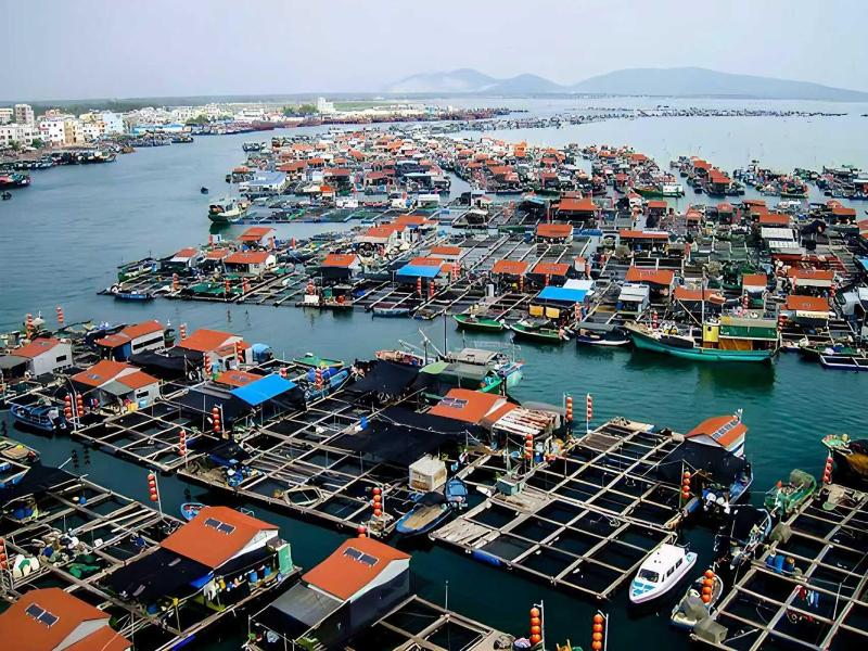 Marriott Resort Xiangshui Bay image